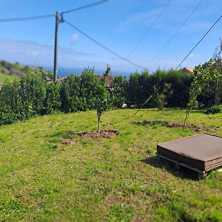 Casa Pyrrhula Murina - Private Jacuzzi Нордешти Экстерьер фото